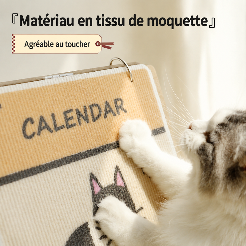 Giipet griffoir calendrier pour chat sans perte de peluches