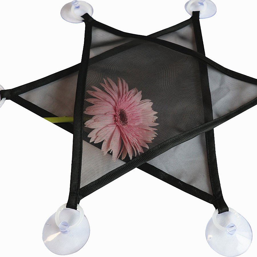 Hängematte mit Saugnäpfen zur platzsparenden Terrarium-Gestaltung