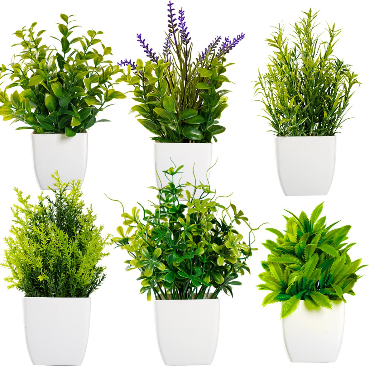 라벤더와 로즈마리 화분