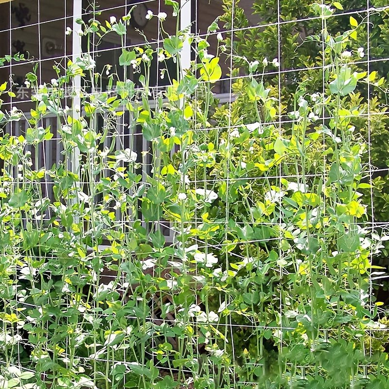 DIY Plant Support Trellis Net