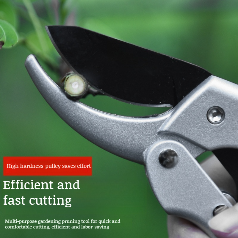 Garden Pruning Shears