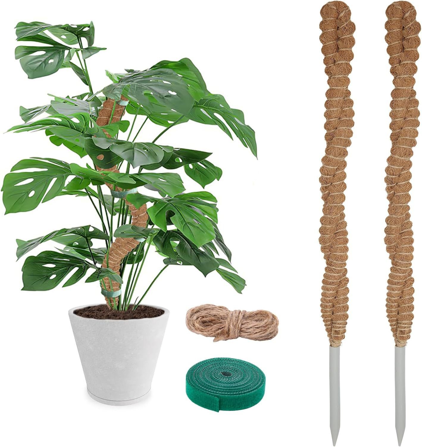 Bendable Coir Plant Support Poles, 2-Pack