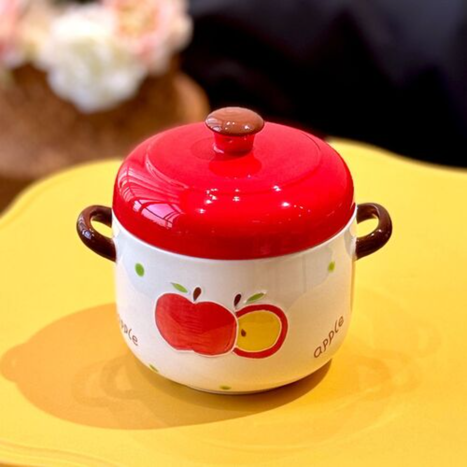 Cocotte saine en céramique pour la cuisson lente