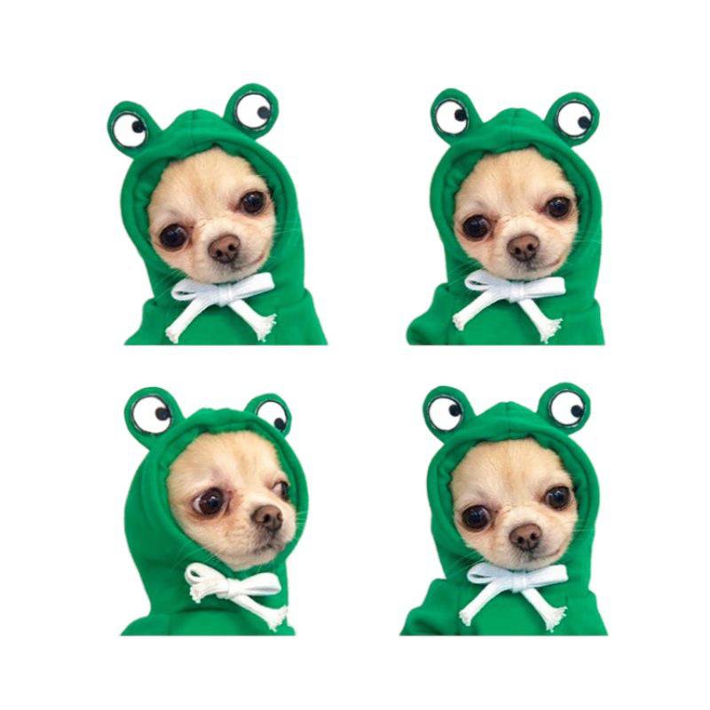 All-Season Fashion Outfits for Pets