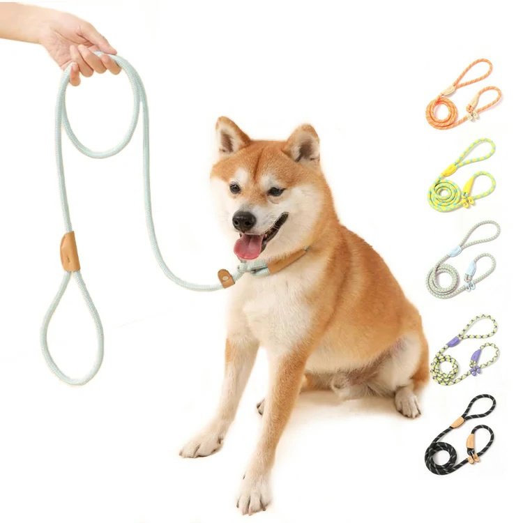 Non-Force Anti-Explosion Nylon Braided Dog Leash