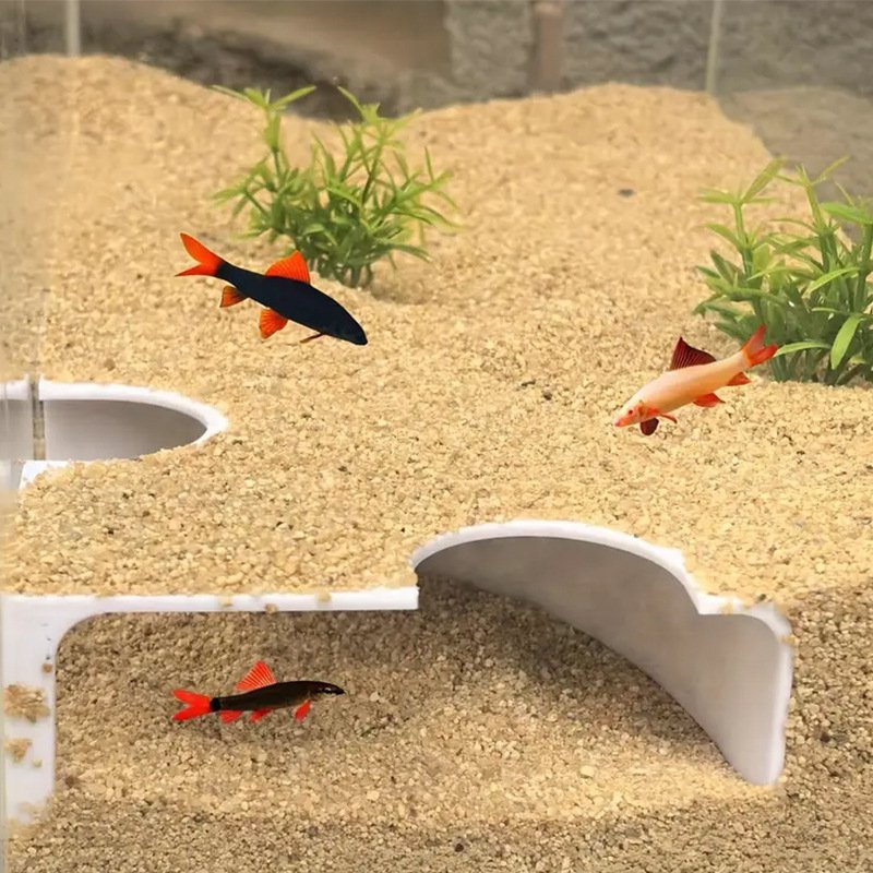 アクアリウム二重穴観魚トンネル