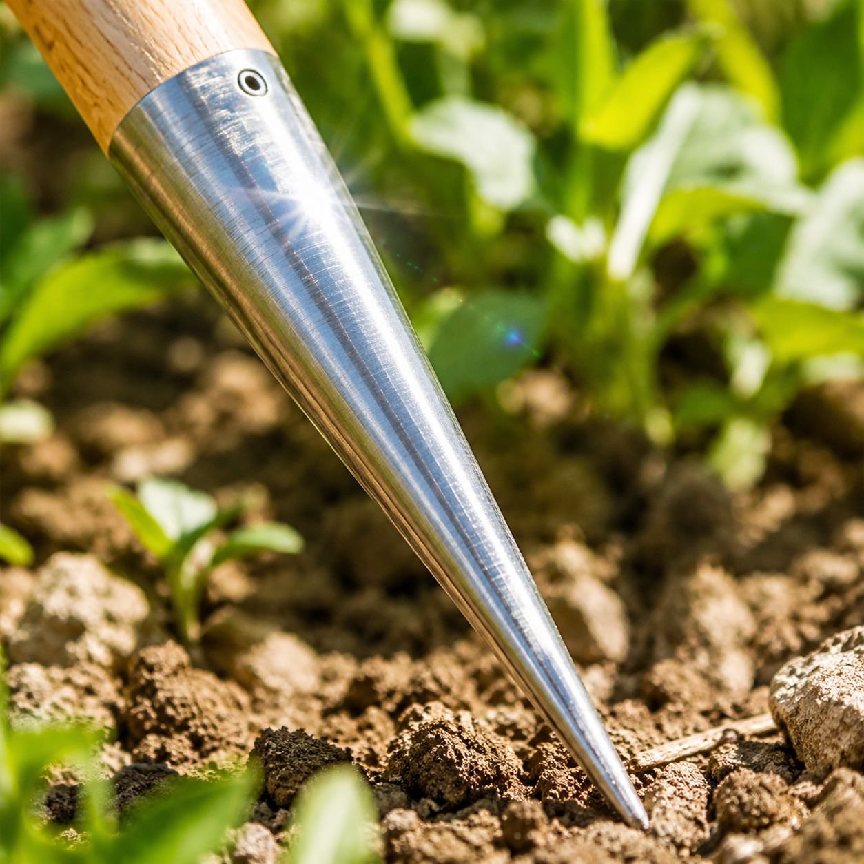 Professional horticulture equipment for vegetable gardens