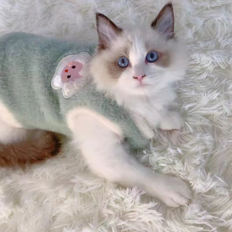 かわいい冬の猫ベスト、暖かい羊毛ペット衣装