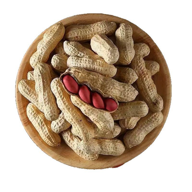 新貨紅皮帶殼花生米 四粒曬乾新鮮花生