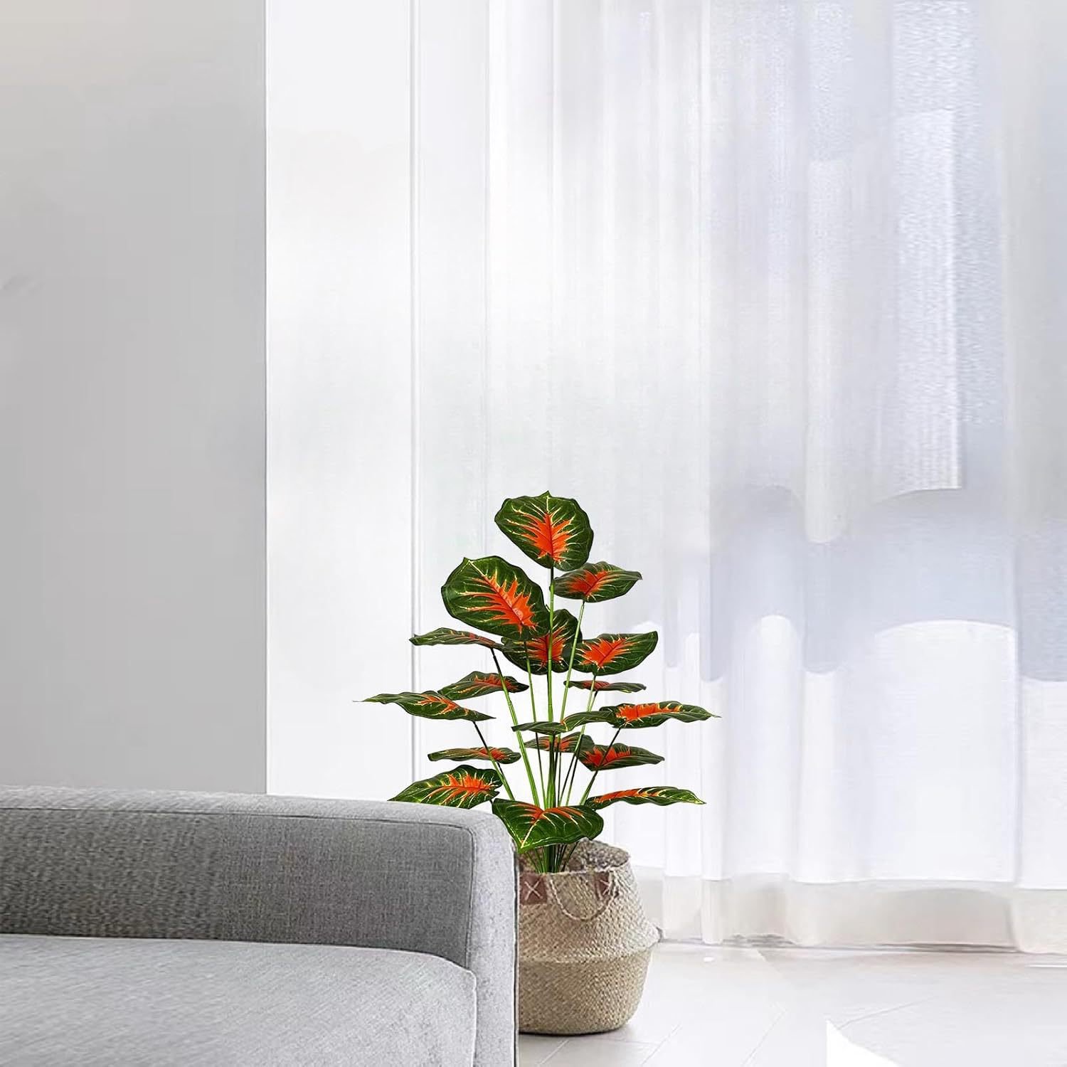 대형 실내 야자수 분재