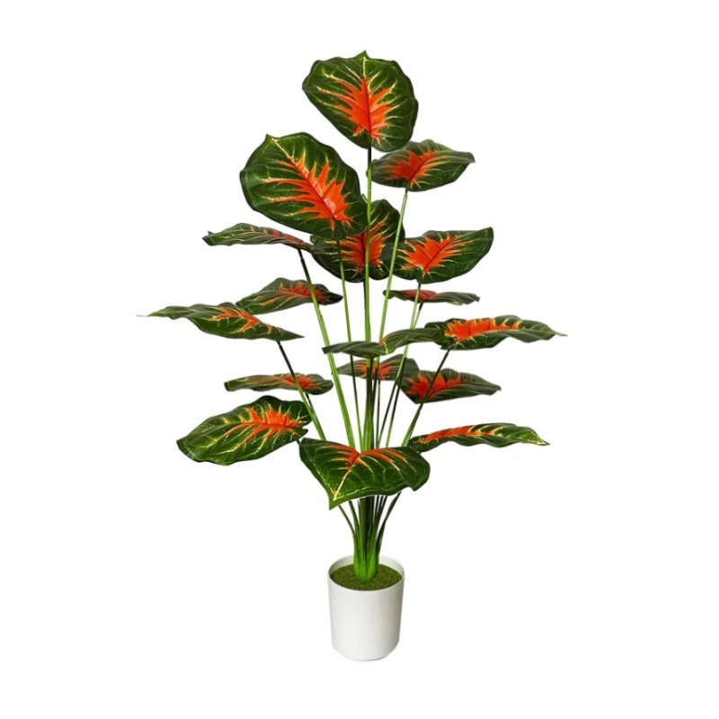 대형 실내 야자수 분재