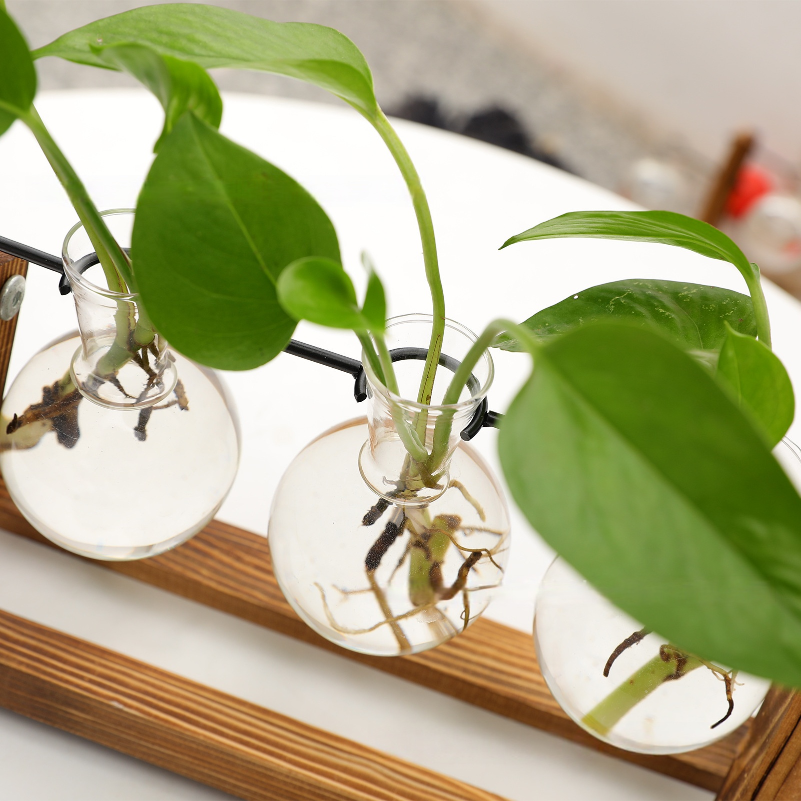 Vase pour fleurs séchées, objet décoratif créatif pour embellir le bureau