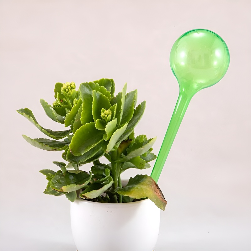 Regador automático de flores para macetas de plantas verdes hortícolas