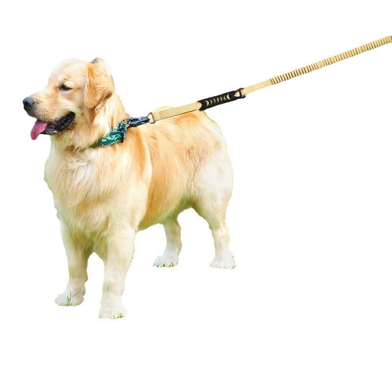 ペット専用リード