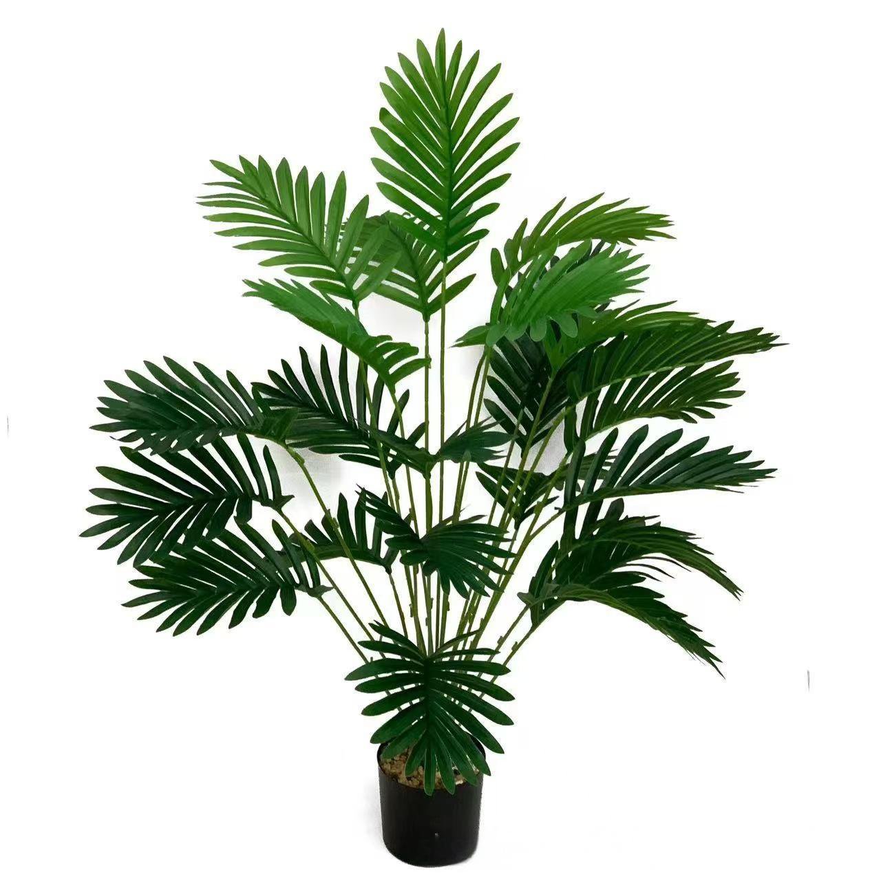 アレカヤシ鉢植え植物