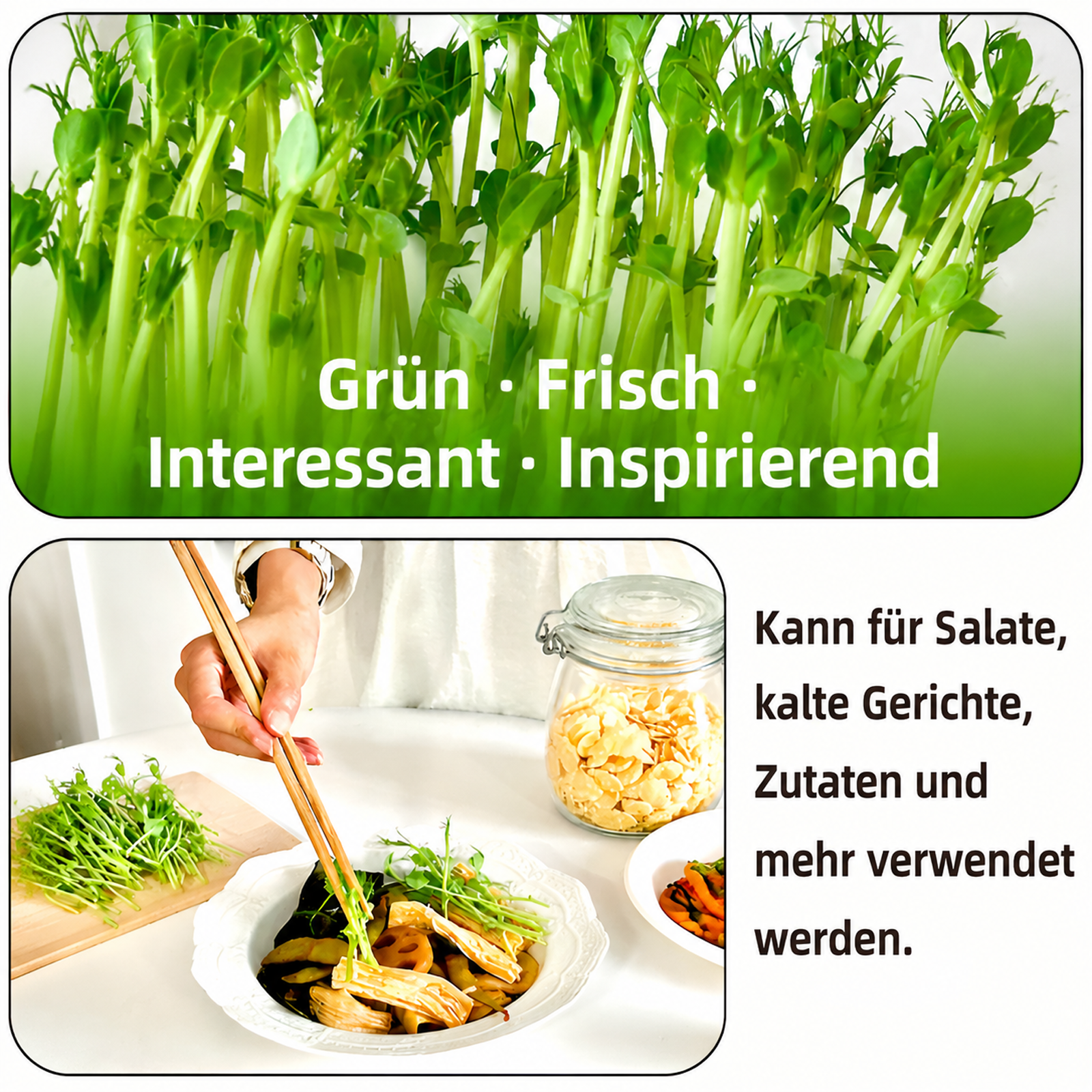 Hydroponische Anzuchtschale für Sprossen