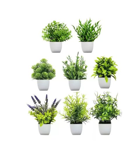 라벤더와 로즈마리 화분