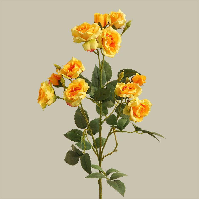 버블로즈 목욕볼