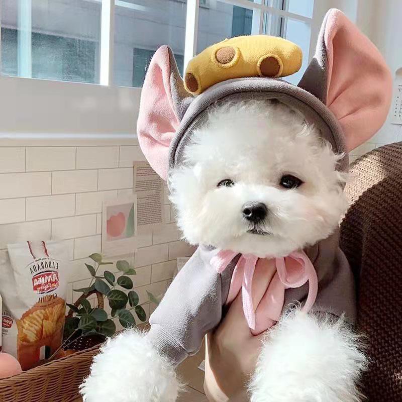 All-Season Fashion Outfits for Pets