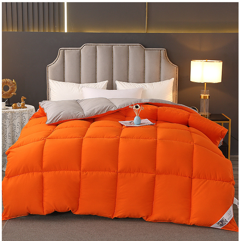 White goose down comforter