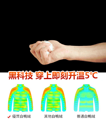 【官方站】日本自發熱輕薄800FP速暖羽絨服