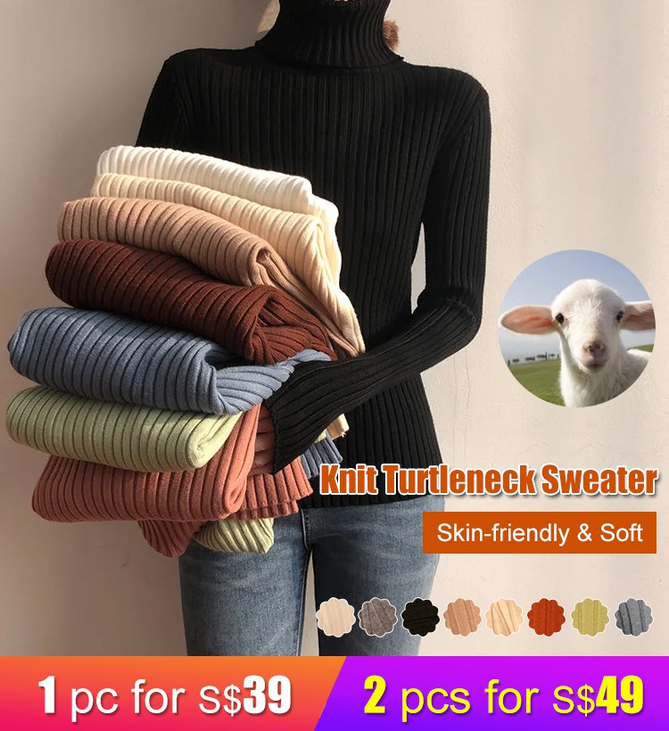 Knit Turtleneck Sweater