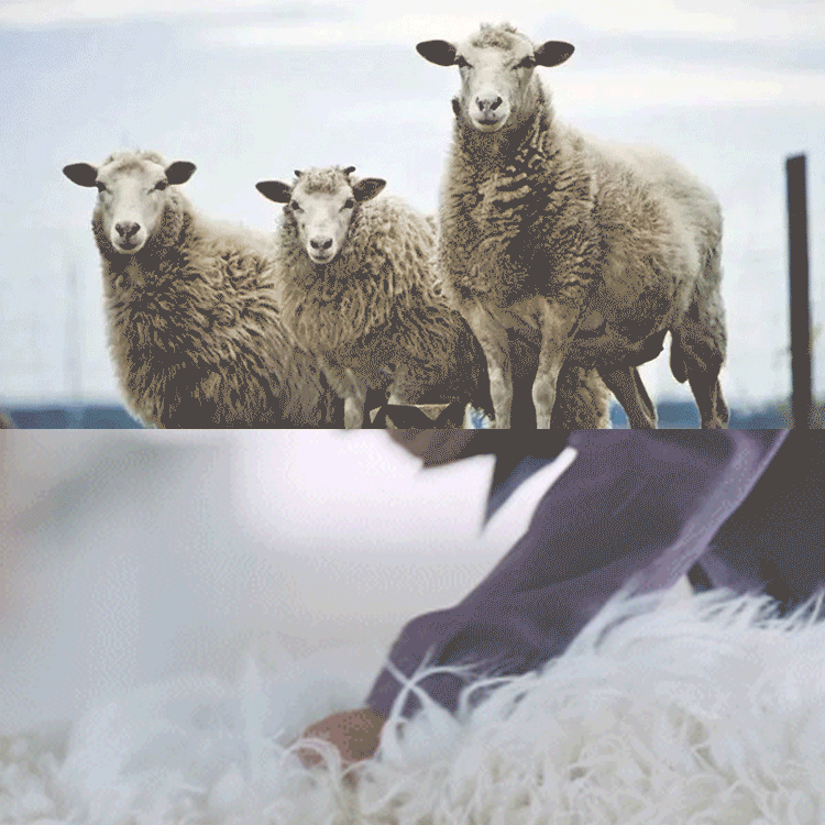 Men‘s Basic Half-High Neck Knitted Shirt