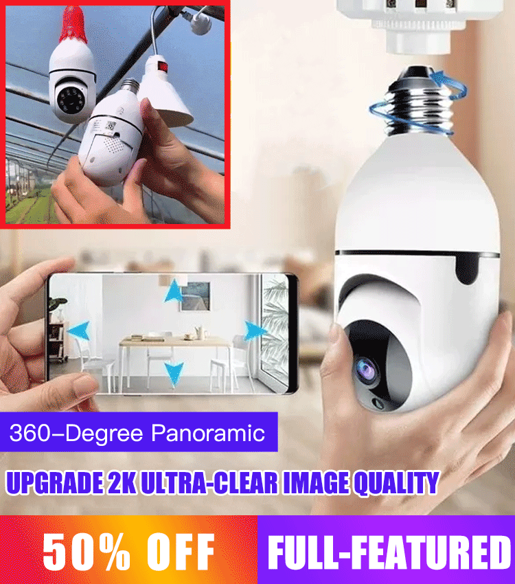 Remote surveillance camera