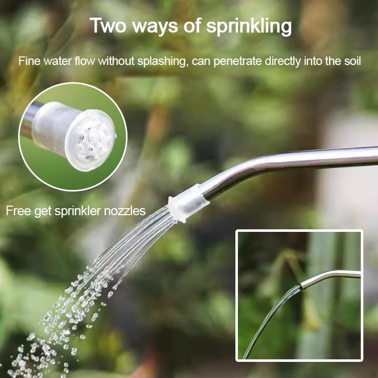 Stainless Steel Long Spout Watering Can for Home Gardening