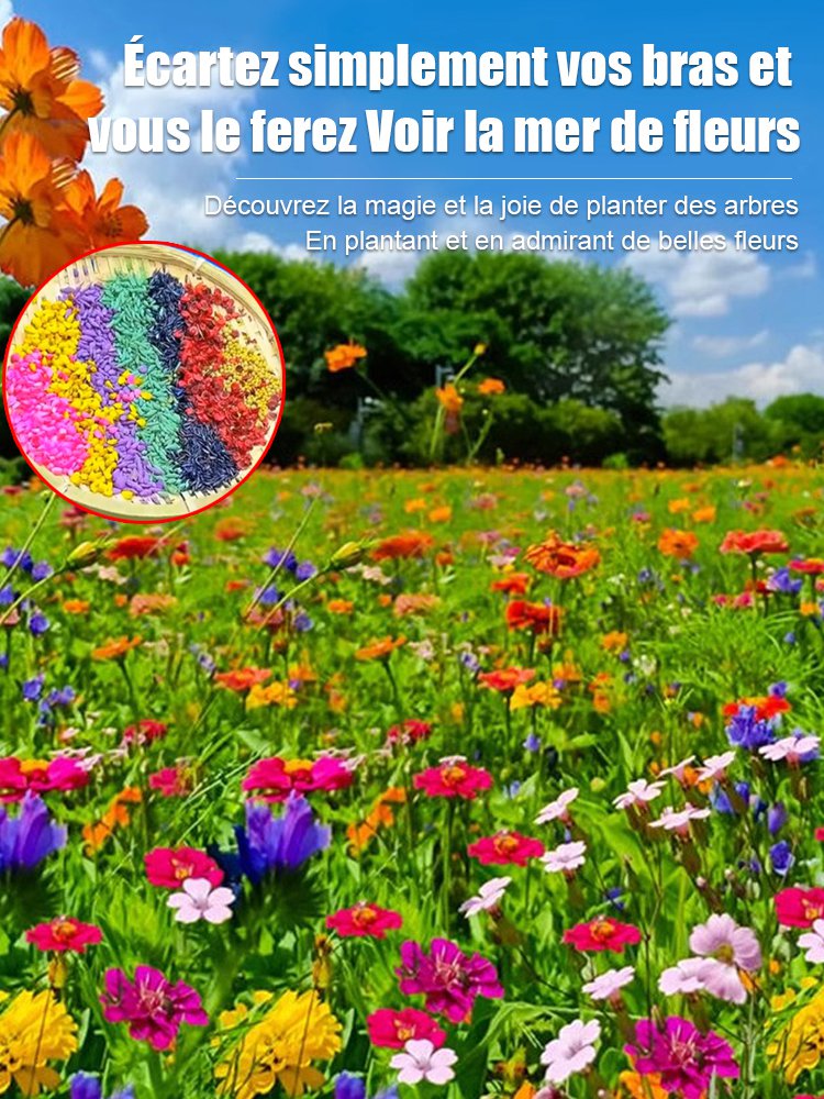 Quatre saisons en fleurs - Mélange de graines de fleurs