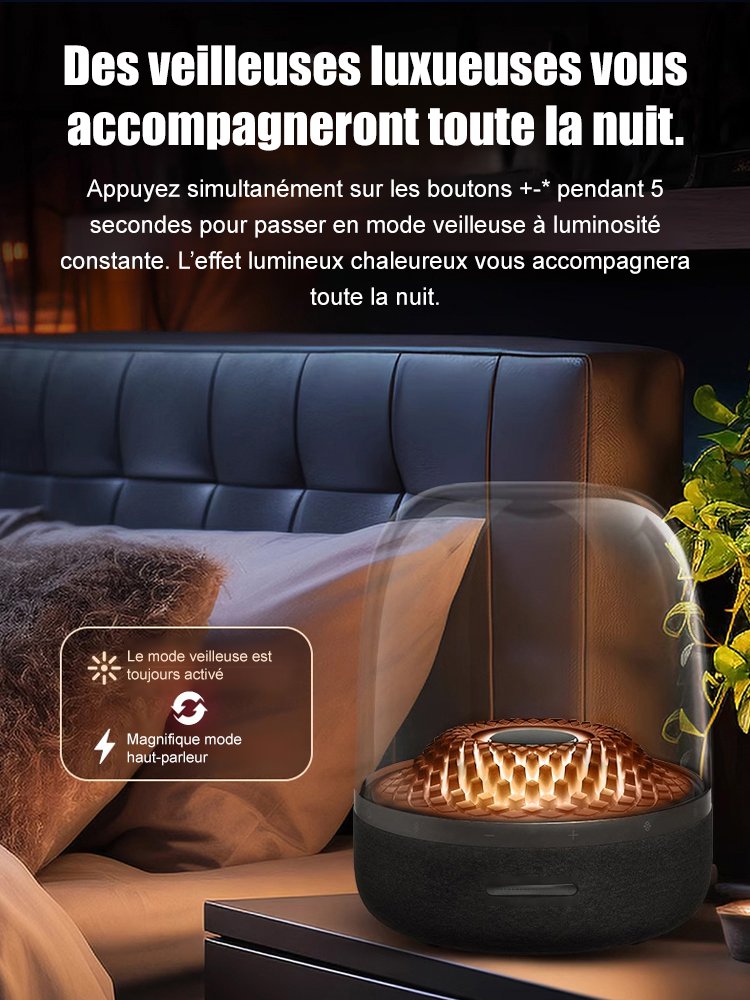 Enceinte Cristal Noir et Or