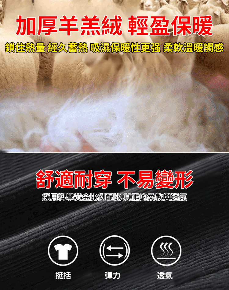 加絨氣質休閒哈倫褲兩件套