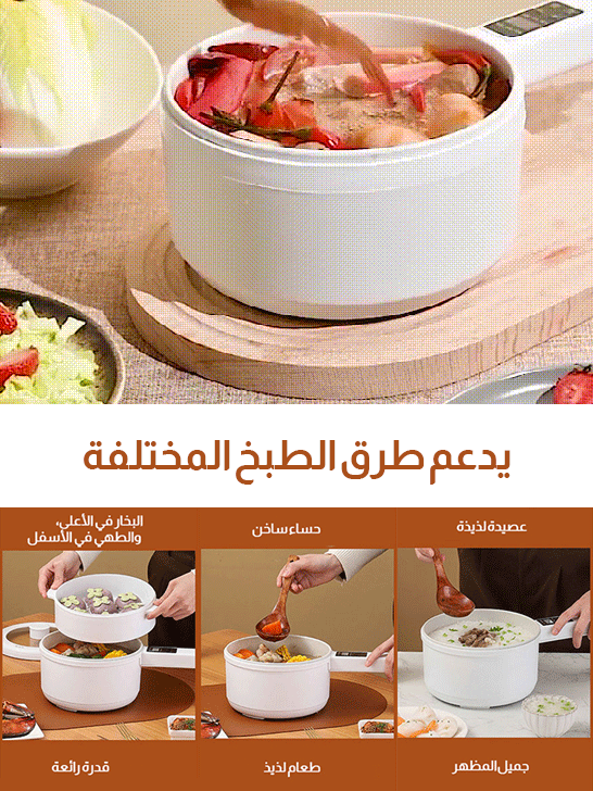 طباخ كهربائي متعدد الوظائف الكل في واحد