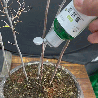 【Německá zahradnická technologie】Rychlý růst kapaliny pro vzkříšení rostlin