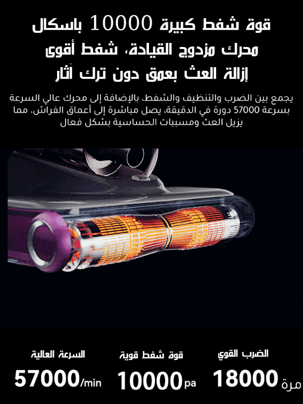 【إصدار فاخر مخصص】 جهاز لاسلكي فاخر لإزالة العث بعمق