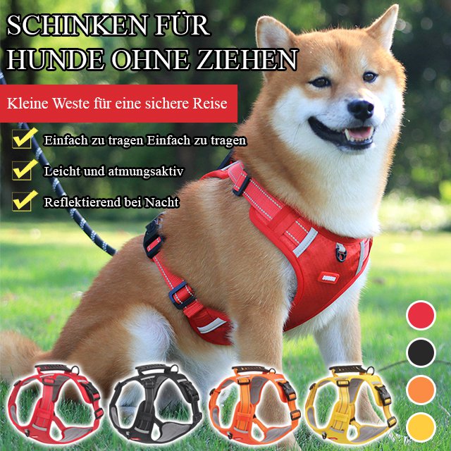 Explosionssicherer Schoßhundegurt vom Hundetrainer empfohlen