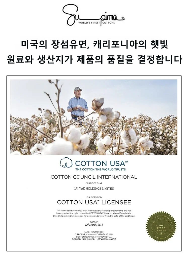 디자인 감성의 여성용 페이크 투피스 정장 세트