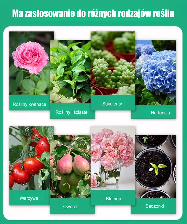 Energetyzator wzrostu roślin [skoncentrowana woda wróżki]