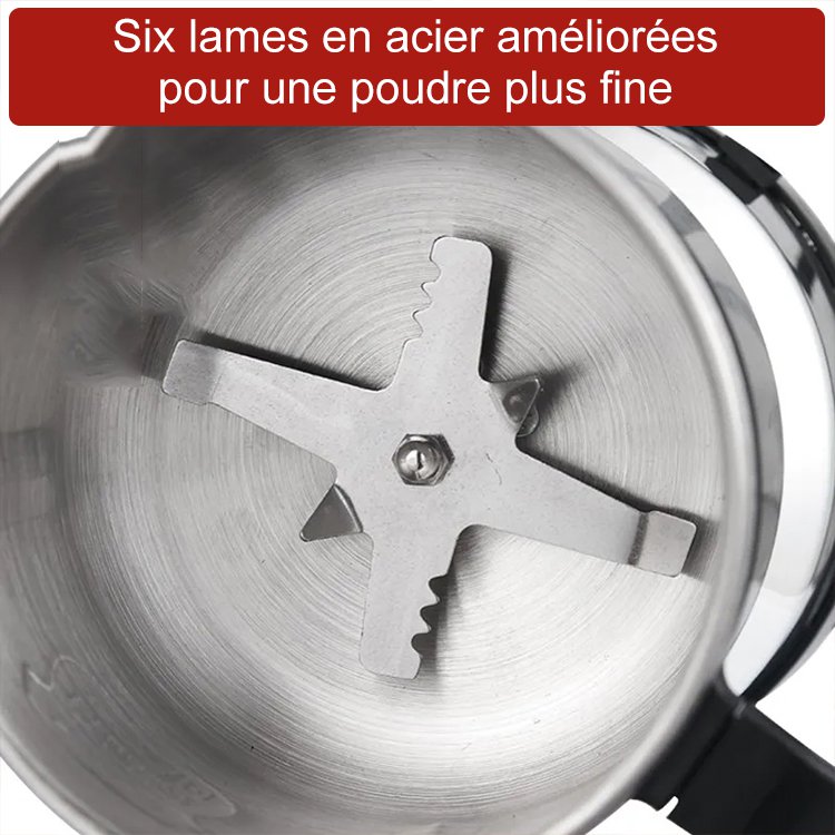 Broyage efficace] [Efficient-Grinding] Moulin électrique multifonctionnel à usage domestique