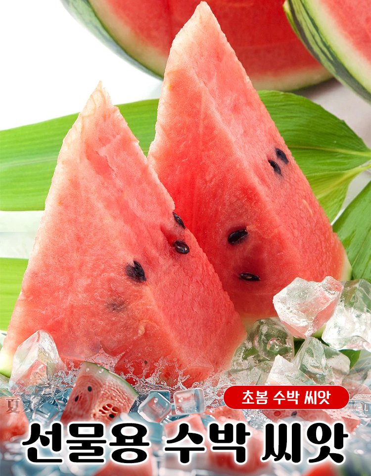 과일 채소 씨앗 모음