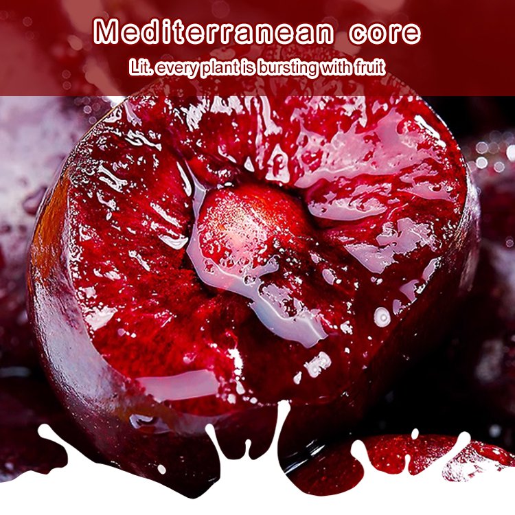 Fully Imported Chilean Chelsea Seeds