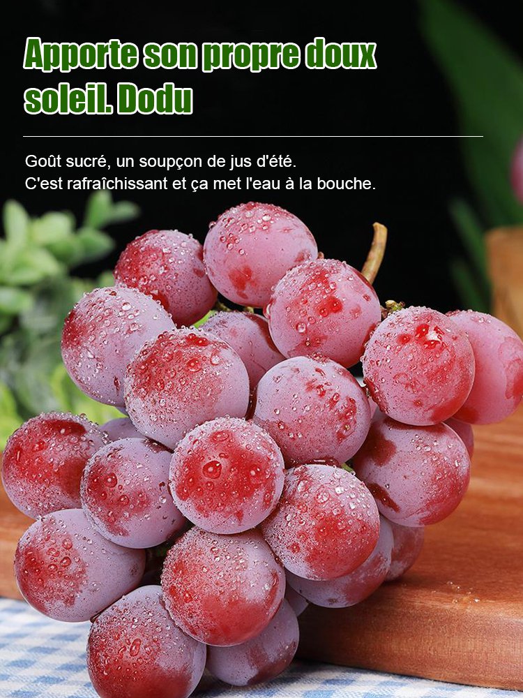 Raisins Queen Nina à l'arôme naturel du vin