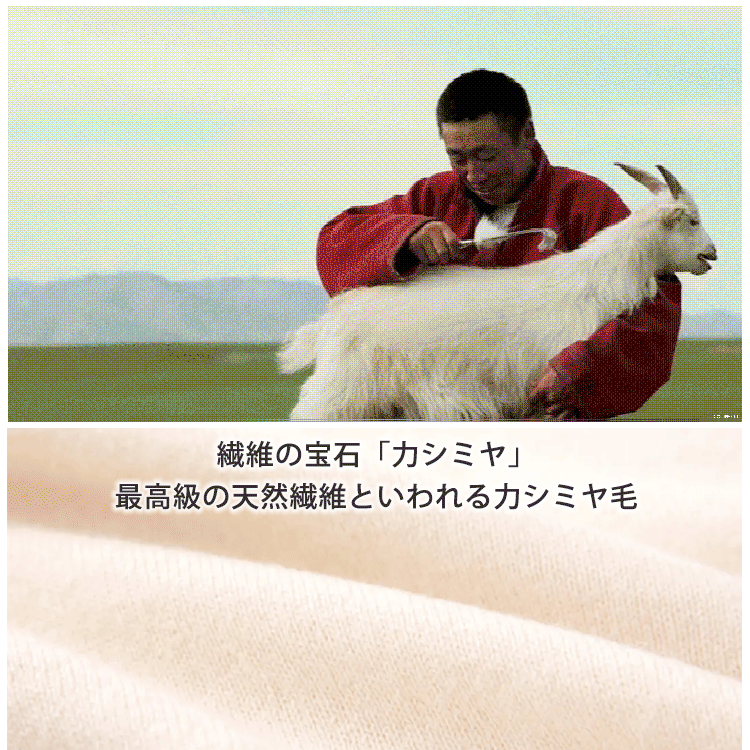 カシミヤカーディガン