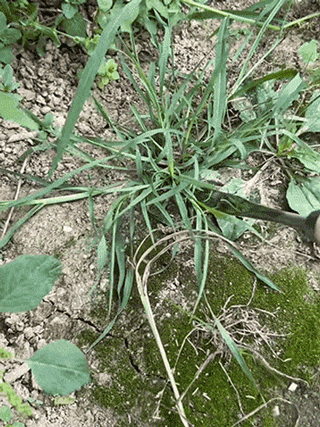 草刈りレーキキット