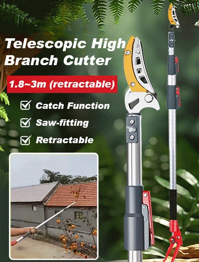 Multifunctional telescopic shears