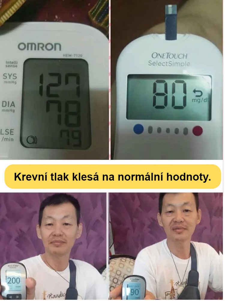 JS-Hypoglykemické a antihypertenzní mléko žluté maso hrnkové ženšen ovoce (doprava zdarma)