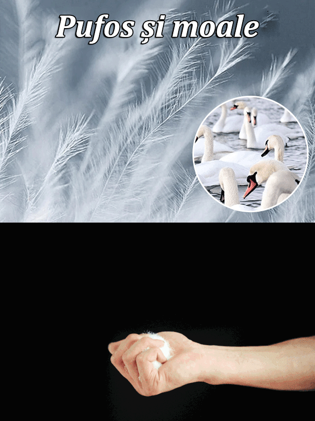 Jachetă din bumbac ușor la modă Lingge