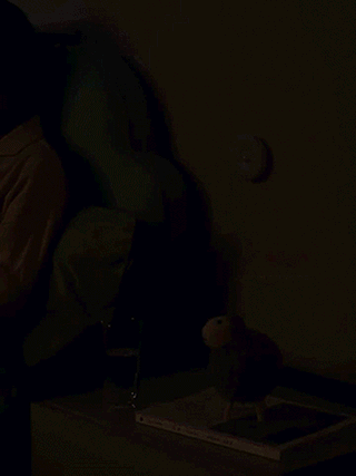 【2折熱賣好物，讓起夜不在摸黑~】人體感應磁吸小夜燈