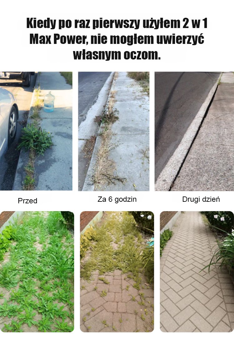 Porównanie roślin przed i po użyciu środka chwastobójczego