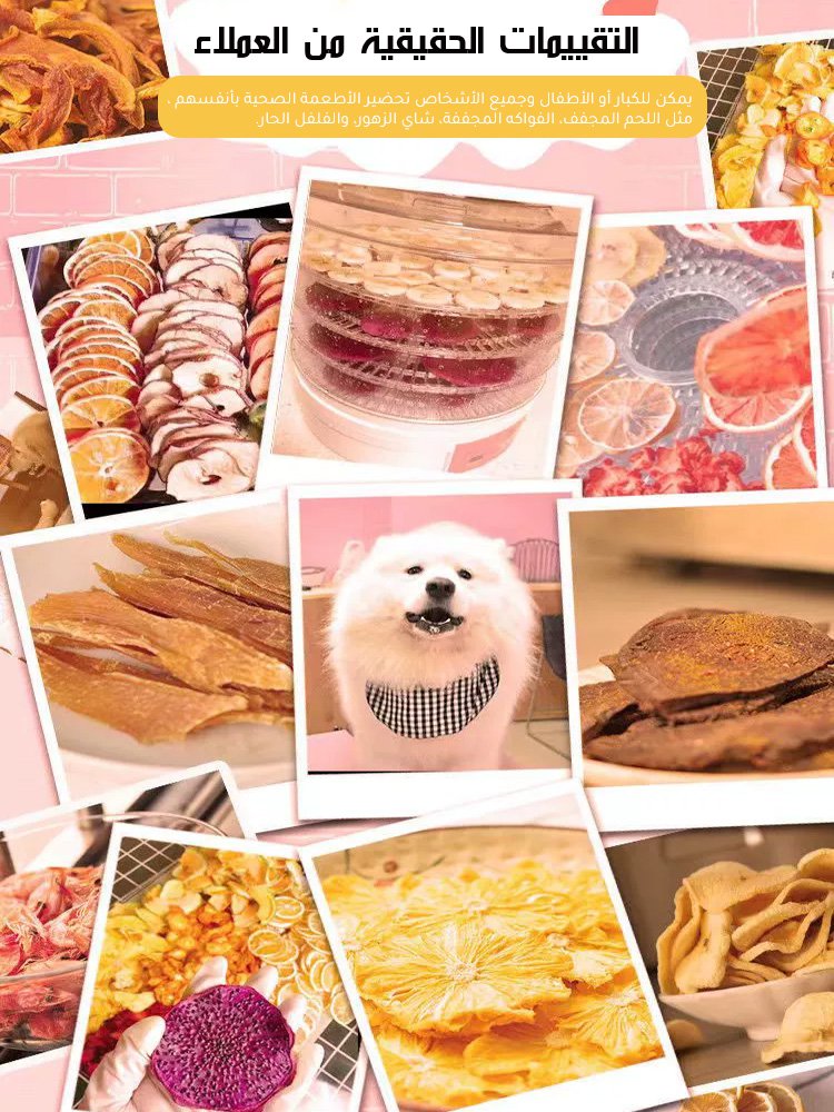 مجفف الطعام المنزلي المتعدد الوظائف، مناسب لتحضير للفواكه والخضروات واللحوم المجففة 